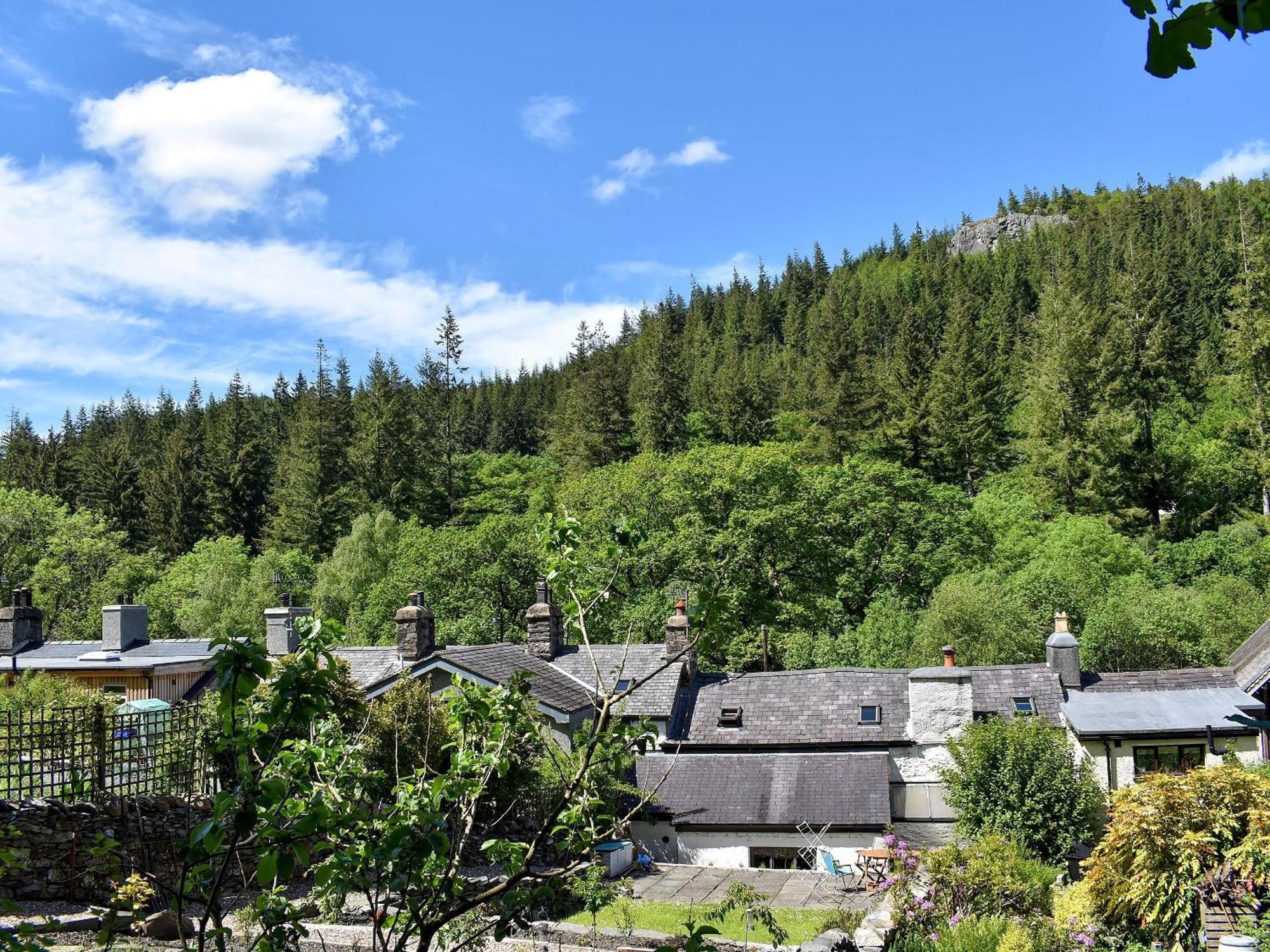 Holiday home Uk34351 - Squirrel Betws-y-Coed