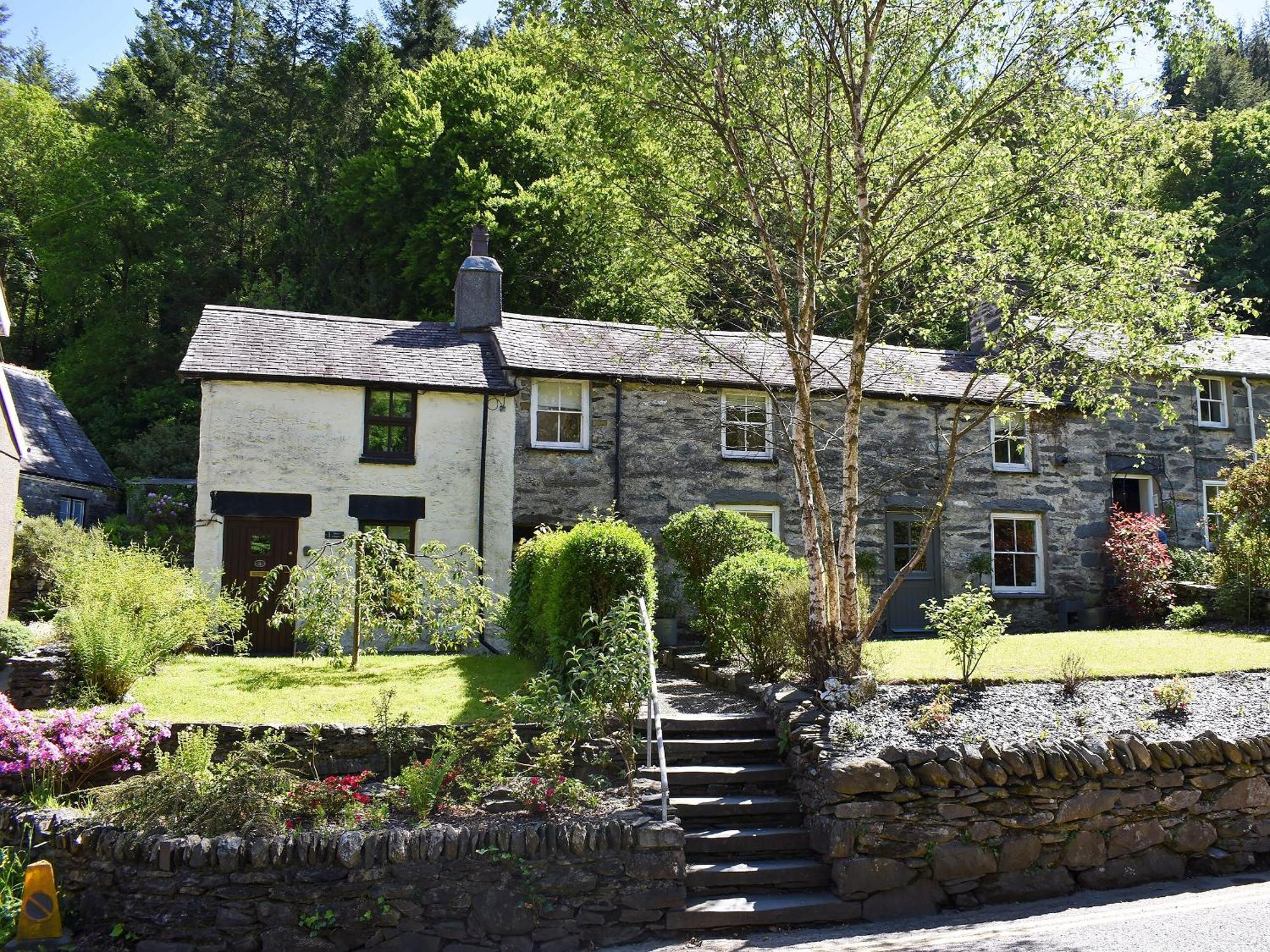 Uk34351 - Squirrel * Betws-y-Coed